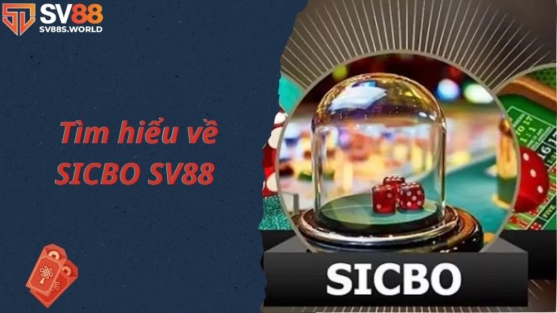 Tìm hiểu về luật trong cách chơi Sicbo SV88