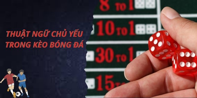 Thuật ngữ về kèo bóng đá bạn cần biết