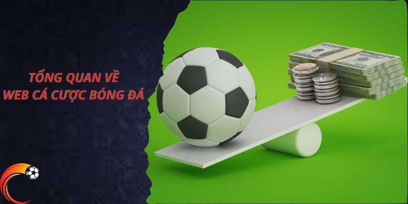 Tổng quan về trang web cá cược bóng đá