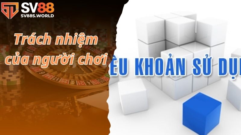 Trách nhiệm của người chơi